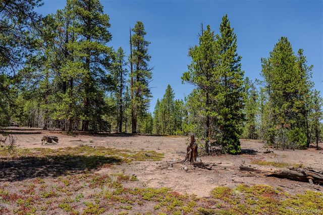124 Fir Drive, Twin Lakes, CO 81251