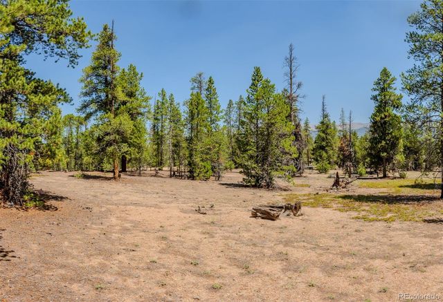 124 Fir Drive, Twin Lakes, CO 81251