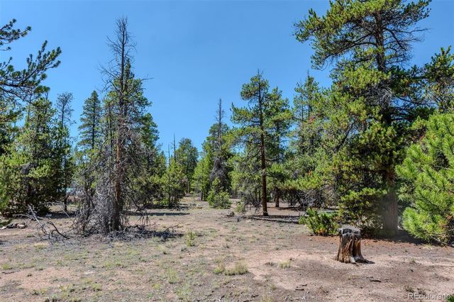 124 Fir Drive, Twin Lakes, CO 81251
