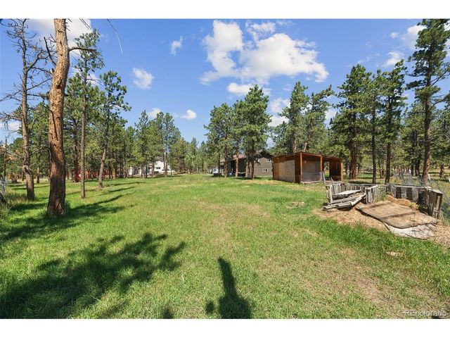 96 Gunsmoke Dr, Bailey, CO 80421