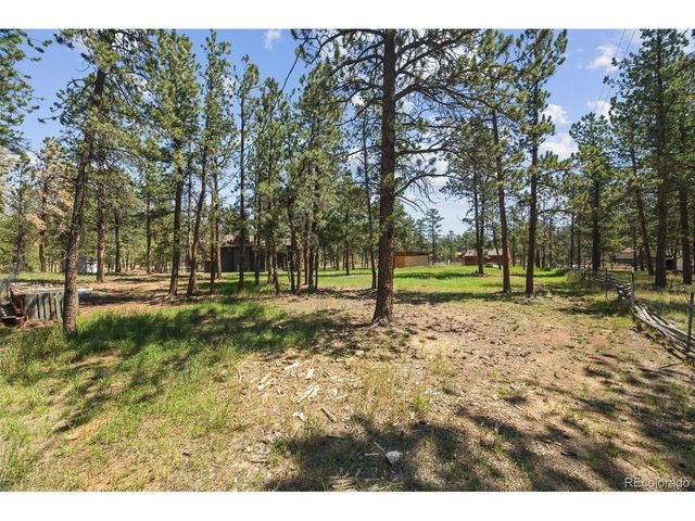 96 Gunsmoke Dr, Bailey, CO 80421