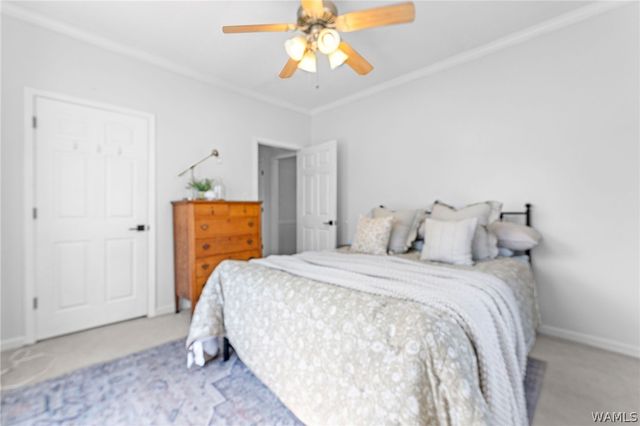 15 Forest, Tuscaloosa, AL 35404