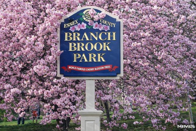 375 Mount Prospect 7DE, Newark, NJ 07104
