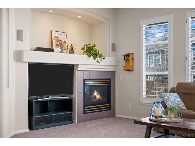 10102 Glenstone Cir, Highlands Ranch, CO 80130