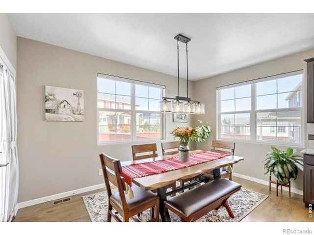 2169 Day Spring Drive, Windsor, CO 80550