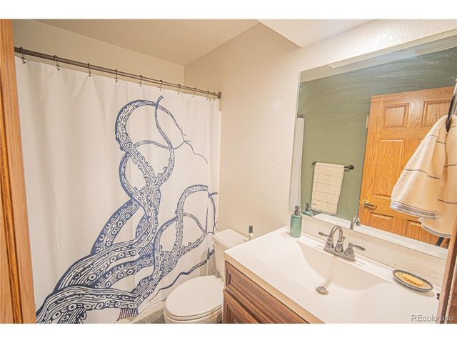 27107 County Road 342, Buena Vista, CO 81211