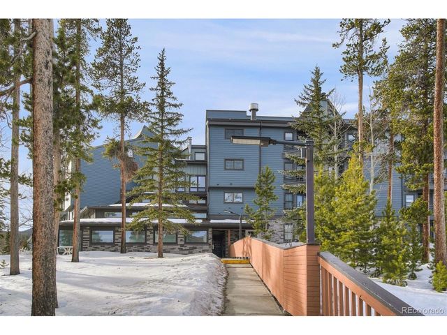 9825 Ryan Gulch Rd B-201, Silverthorne, CO 80498