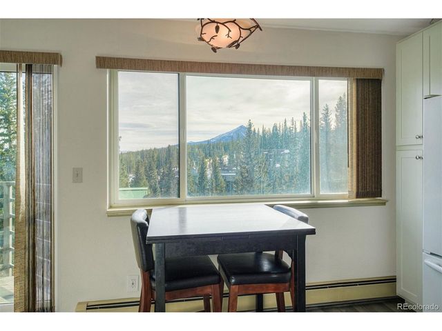 9825 Ryan Gulch Rd B-201, Silverthorne, CO 80498