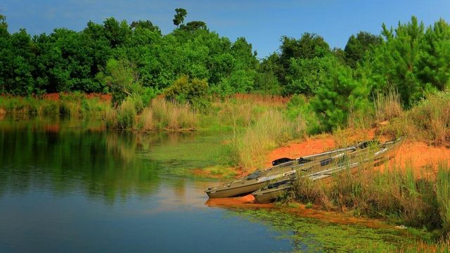 7923 Broken Spoke Drive, Montgomery, TX 77316
