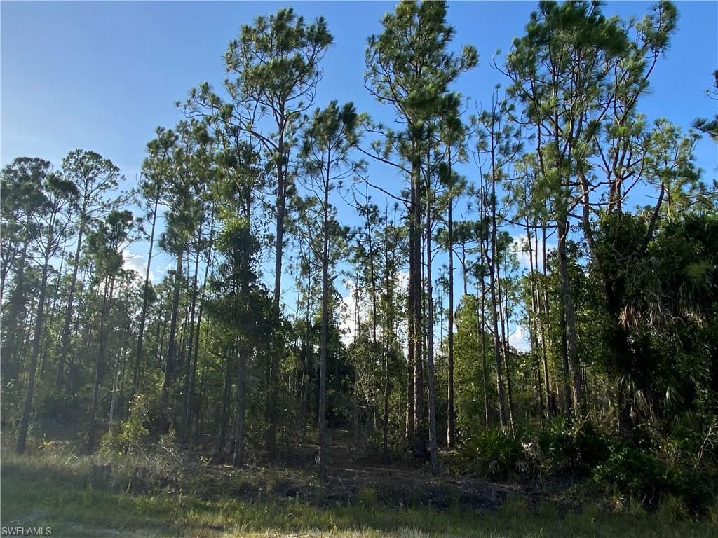 27166 Dubonet DR, PUNTA GORDA, FL 33955 — photo 2