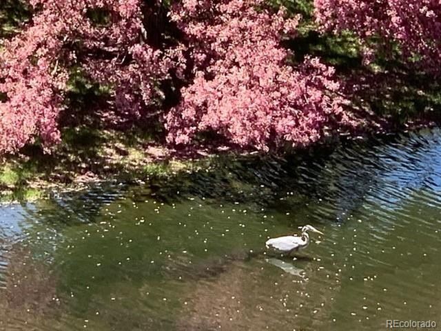 7000 E Quincy Ave F-217, Denver, CO 80237