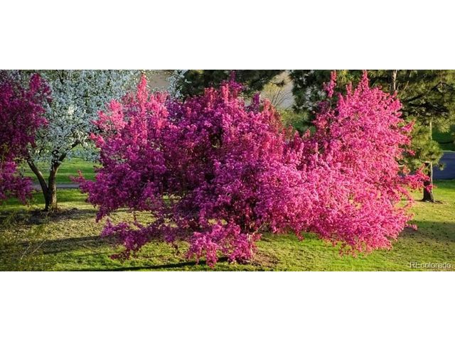 7000 E Quincy Ave F-217, Denver, CO 80237