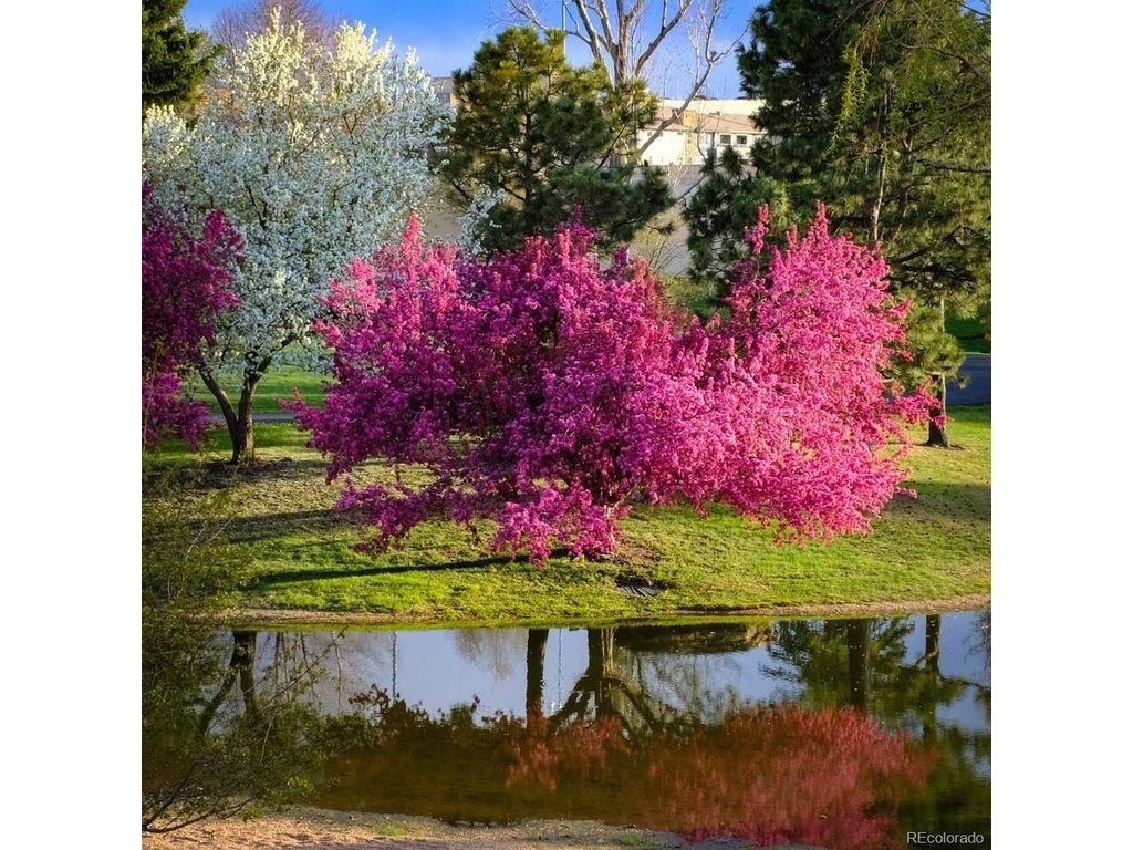 7000 E Quincy Ave F-217, Denver, CO 80237