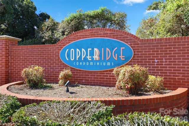 17157 Red Feather Drive, Charlotte, NC 28277