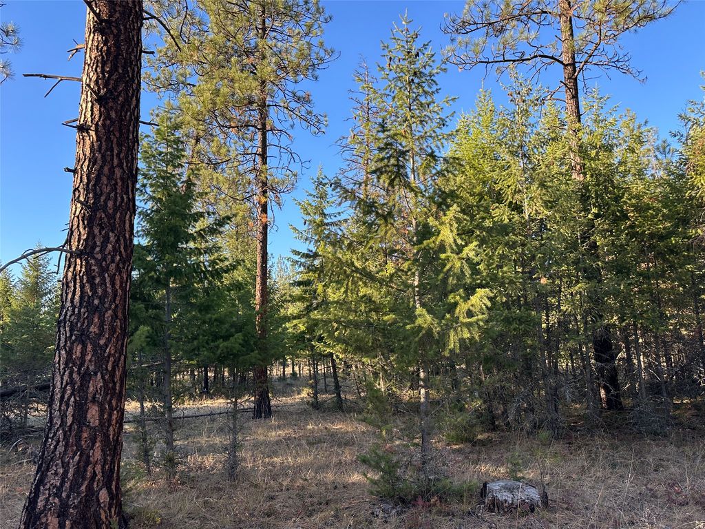 NHN Cherry Creek Road, Thompson Falls, MT 59873 photo 3