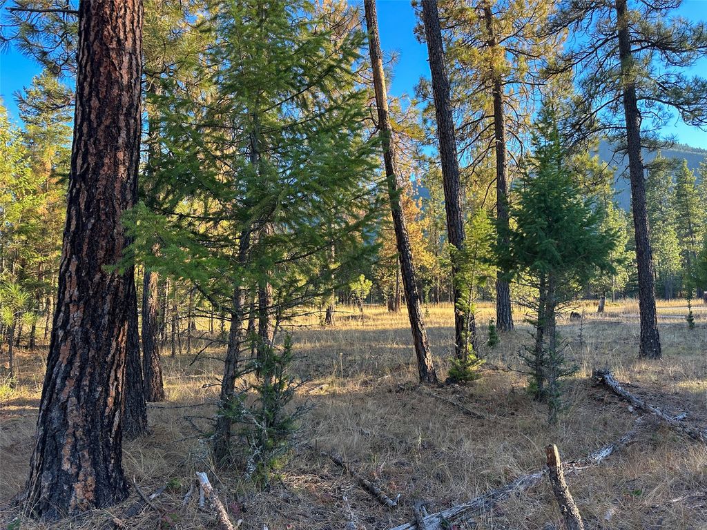 NHN Cherry Creek Road, Thompson Falls, MT 59873 photo 4