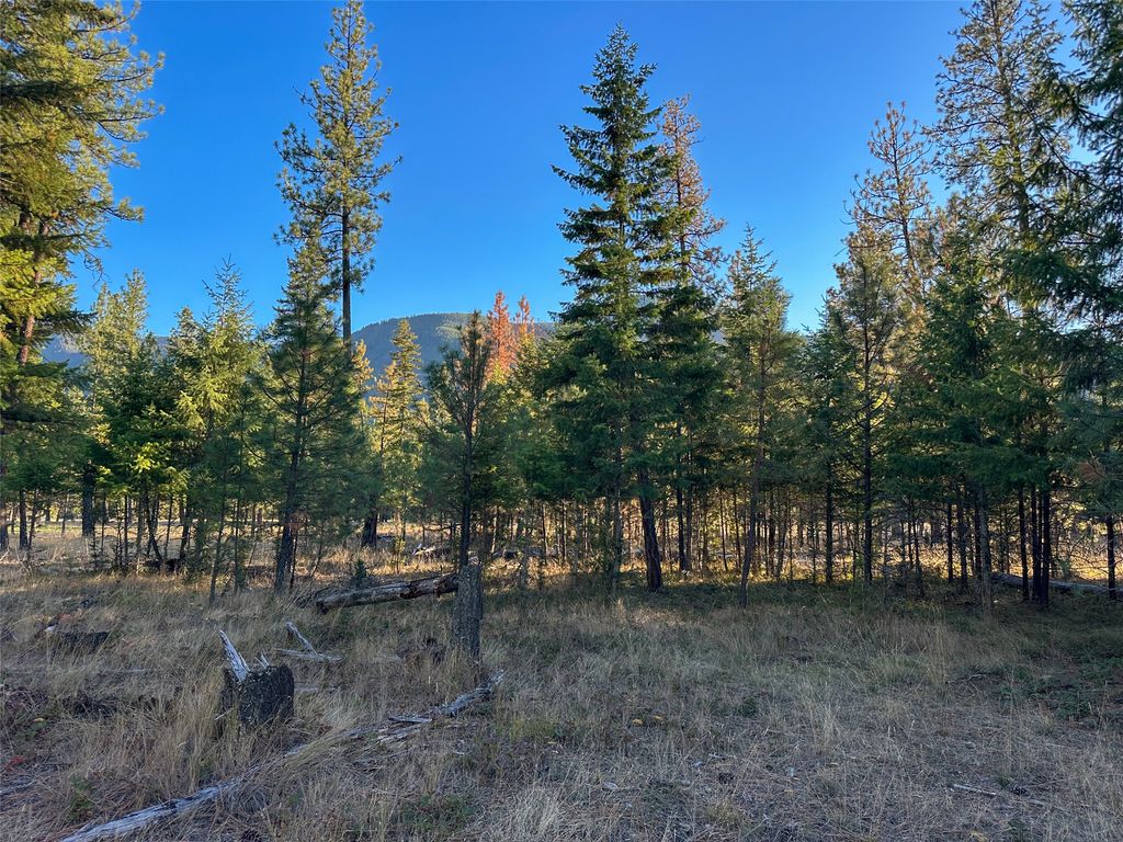 NHN Cherry Creek Road, Thompson Falls, MT 59873 photo 5