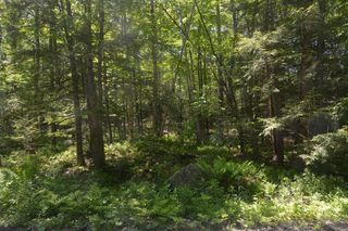 Lot 155 Chippewa Drive, Becket, MA 01223