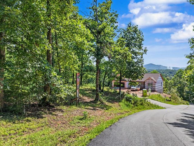 Lot 2 Brasstown Trails, Warne, NC 28909