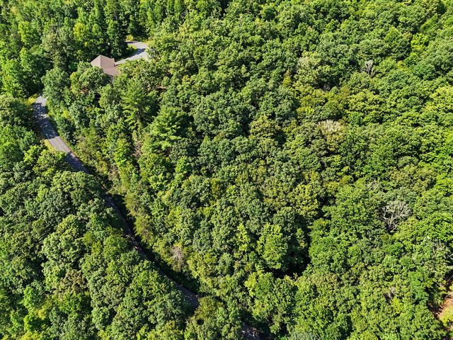 Lot 2 Brasstown Trails, Warne, NC 28909