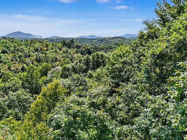 Lot 2 Brasstown Trails, Warne, NC 28909