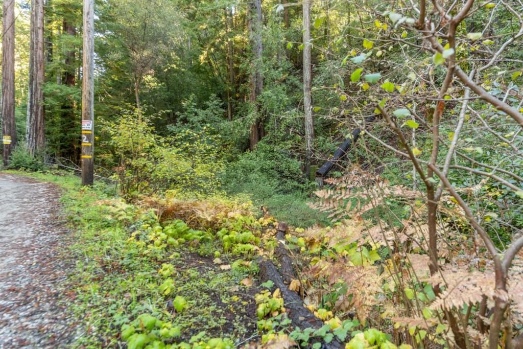 4 Old Mill Avenue, Felton, CA 95018