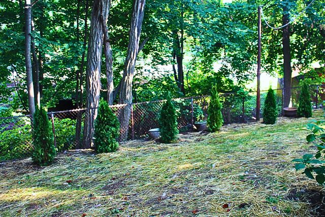 155 Moody Avenue, Fairfield, CT 06825