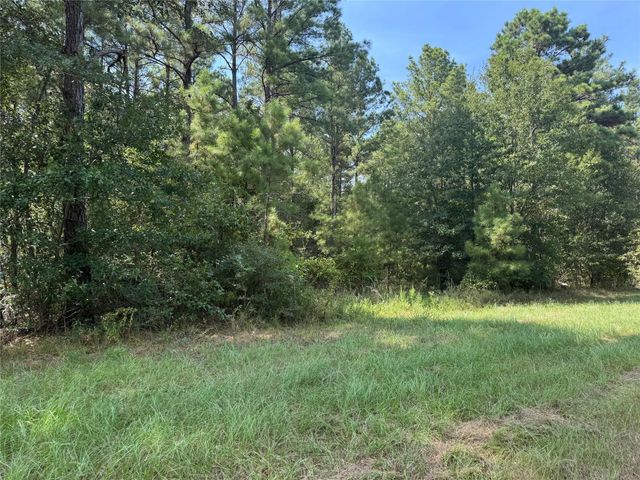 511 Queen Anne Way, Huntsville, TX 77340