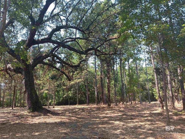 16253 Tolbert Road, Bay Minette, AL 36507