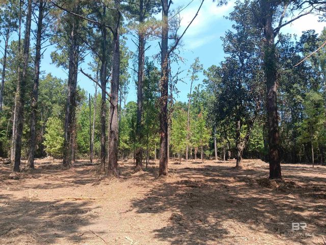 16253 Tolbert Road, Bay Minette, AL 36507