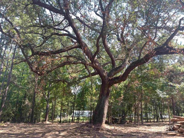 16253 Tolbert Road, Bay Minette, AL 36507