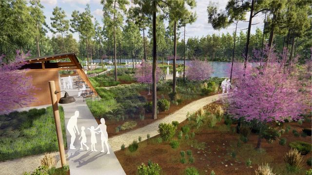 9318 Clucking Hen Street, Montgomery, TX 77316