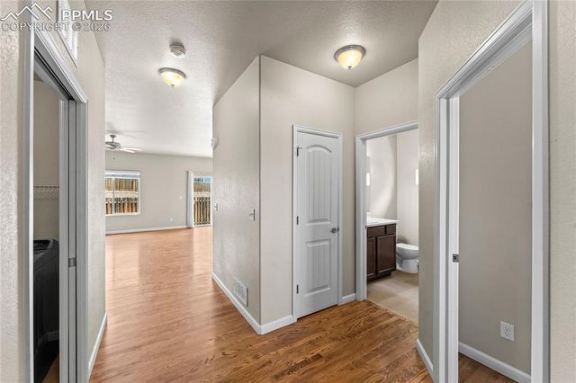 11344 Neutra Grove, Peyton, CO 80831