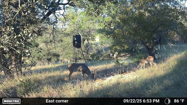 4565 Zenner-Ahrens Rd, Fredericksburg, TX 78624