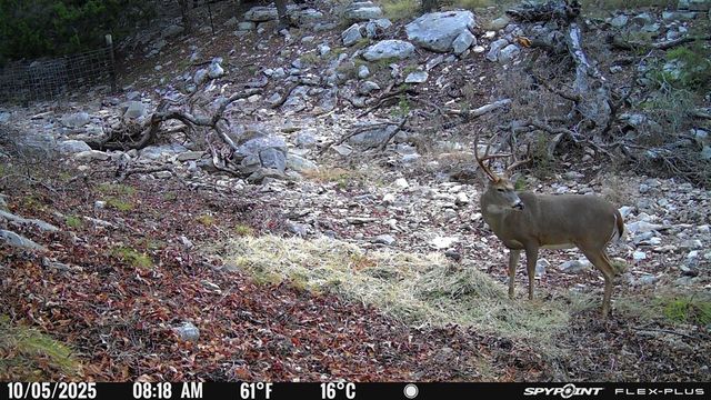 4565 Zenner-Ahrens Rd, Fredericksburg, TX 78624