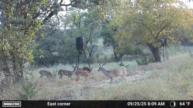 4565 Zenner-Ahrens Rd, Fredericksburg, TX 78624