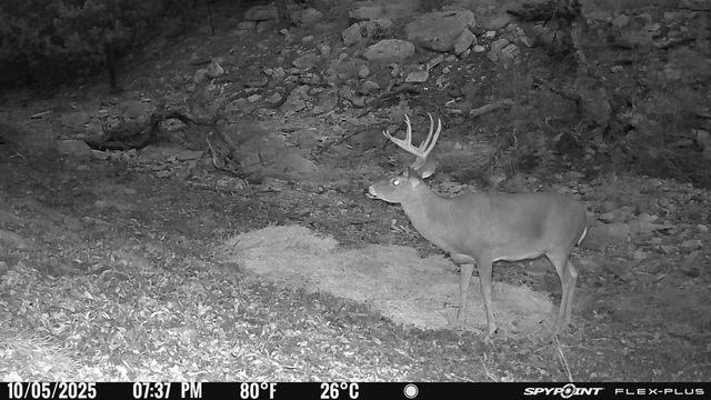 4565 Zenner-Ahrens Rd, Fredericksburg, TX 78624