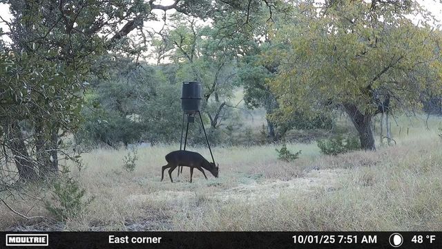 4565 Zenner-Ahrens Rd, Fredericksburg, TX 78624