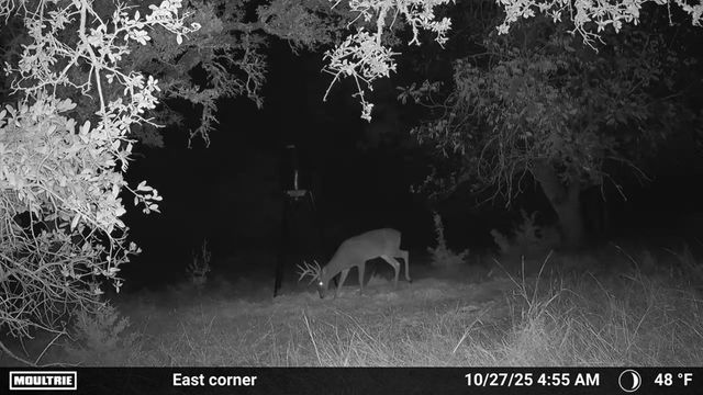 4565 Zenner-Ahrens Rd, Fredericksburg, TX 78624