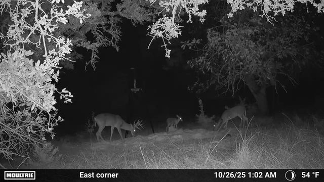 4565 Zenner-Ahrens Rd, Fredericksburg, TX 78624