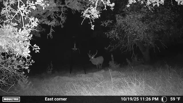 4565 Zenner-Ahrens Rd, Fredericksburg, TX 78624