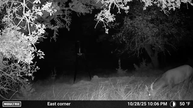 4565 Zenner-Ahrens Rd, Fredericksburg, TX 78624