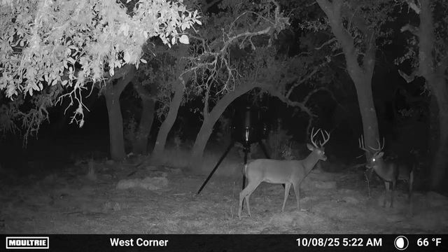 4565 Zenner-Ahrens Rd, Fredericksburg, TX 78624