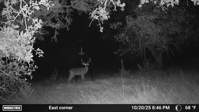 4565 Zenner-Ahrens Rd, Fredericksburg, TX 78624