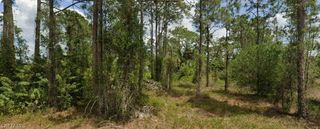 713 Clemwood AVE S, Lehigh Acres, FL 33974