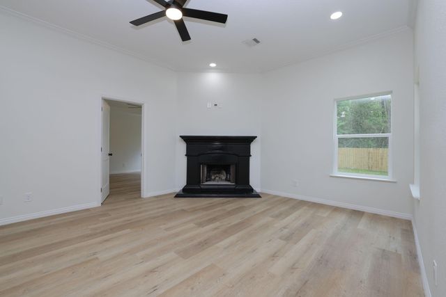 1241 Chateau Woods Parkway Drive, Conroe, TX 77385