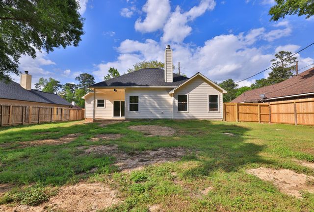 1241 Chateau Woods Parkway Drive, Conroe, TX 77385