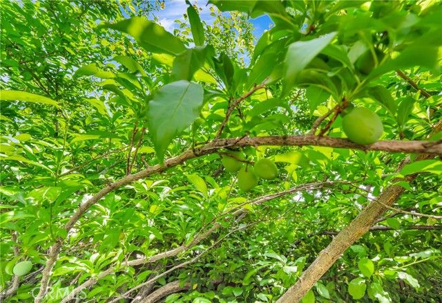 39884 Golfers Drive, Palmdale, CA 93551