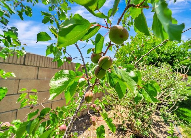 39884 Golfers Drive, Palmdale, CA 93551