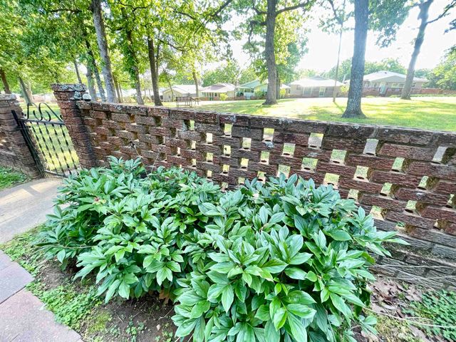 207 Parliament Drive, Horseshoe Bend, AR 72512